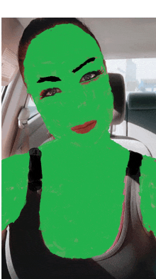 a woman with a green mask on her face is in a car