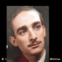 a close up of a man 's face with a myheritage logo visible