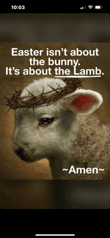 a picture of a sheep with a crown of thorns on its head