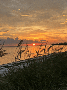 the sun is setting over a body of water with tall grass in the foreground