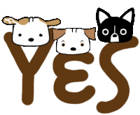 a dog and a cat are sitting on the word yes