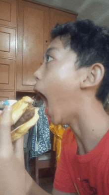 a young boy in a red shirt eating a hamburger