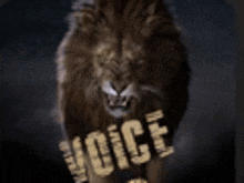 a lion is standing in front of a sign that says ' voice ' on it .