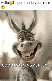 a picture of a donkey smiling with the words hello hope i made you smile good morning ashley