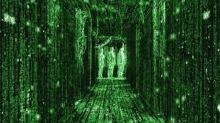 a couple of people are walking through a maze of green codes .