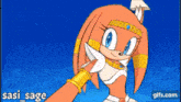 a cartoon of a female sonic the hedgehog with a blue sky in the background .