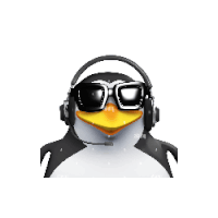 a penguin wearing headphones and sunglasses is looking at the camera