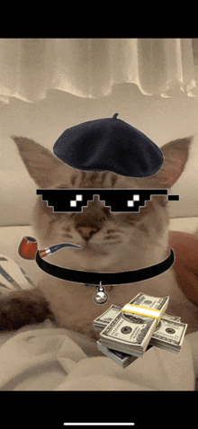 a cat wearing a beret sunglasses and a pipe holds a stack of money