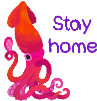 an illustration of a squid with the words stay home written below it