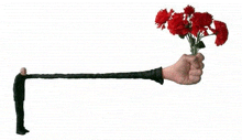 a man with a very long arm is holding a bunch of red carnations .