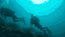 two scuba divers are swimming in a blue ocean