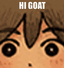 a close up of a person 's face with the words hi goat written above it .