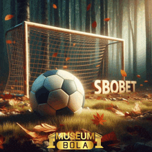 a soccer ball in front of a soccer goal with the word sbobet on it