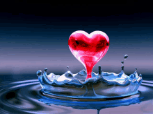 a red heart is splashing out of a crown of water