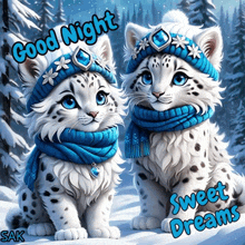 two snow leopard kittens wearing blue hats and scarves with the words good night sweet dreams below them