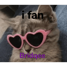 a cat wearing heart shaped sunglasses with the words i fan bridgee above it