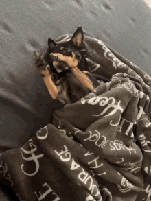 a small dog is laying on a blanket that says ' i love you ' on it