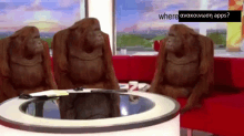 three orangutans sitting on a red couch with a sign that says where aakouvion apps