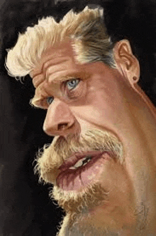 a cartoon portrait of a man with a beard and blonde hair