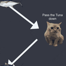 a cat sitting in front of a tuna that is being passed down