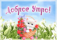 a kitten is sitting in a basket of flowers on a postcard .