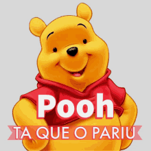 a cartoon of winnie the pooh with the words pooh ta que o pariu below him