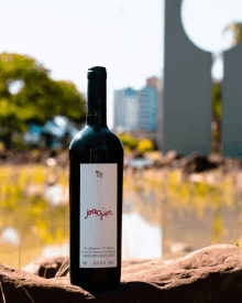 a bottle of joaquin wine from 2020 sits on a rock