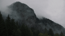 a mountain covered in fog and trees with a cloudy sky in the background