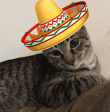 a cat wearing a sombrero is laying on a bed