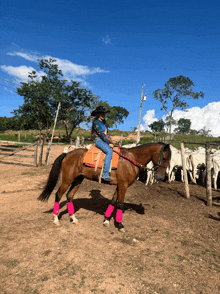 a woman is riding a brown horse in a field