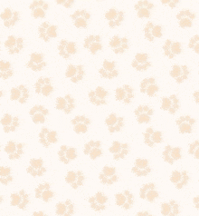 a seamless pattern with paw prints on a white background