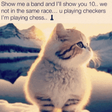 a picture of a cat with a caption that says show me a band and i 'll show you 10 we not in the same race