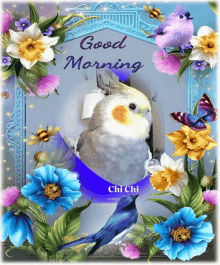 a picture of a bird and flowers with the words good morning chi chi