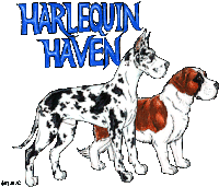 two dogs standing next to each other with the words harlequin haven written above them