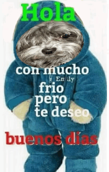 a picture of a sloth wearing a blue outfit with the words " hola con mucho frio pero te deseo buenos dias "