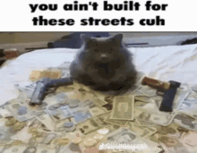 a cat is sitting on a bed surrounded by money and guns .