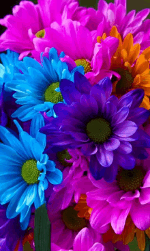 a bunch of colorful flowers including blue and purple flowers