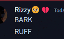 a screenshot of a person 's profile with the name rizzy bark and ruff