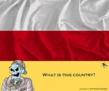 a cartoon of a skeleton with the words what is this country