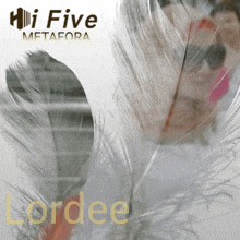 a close up of feathers with the words hi five metafora lordee