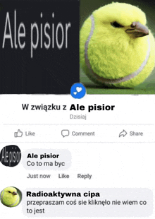 a picture of a tennis ball with a bird on it next to a facebook page that says ale pisior