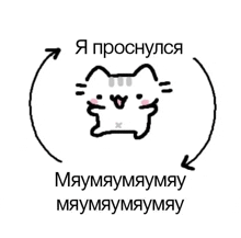 a drawing of a cat with an arrow pointing to it and the words " я проснулся "