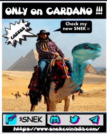 a man riding a dinosaur on a camel with the words only on cardano