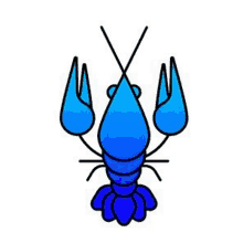 a blue lobster with crossed claws and a tail on a white background .