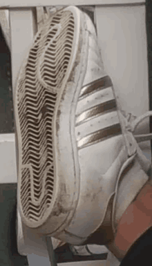 a person is wearing a pair of white and gold adidas shoes