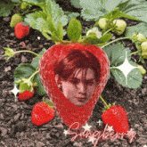 a strawberry with a man 's face on it is surrounded by strawberries and the word sangberry