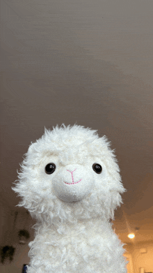 a white stuffed animal with a pink nose