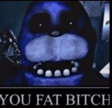 a picture of bonnie from five nights at freddy 's with the words `` you fat bitch '' on it .