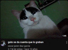 gato se da cuenta que lo graban oscar javier diaz garcia 2.7m de vistas hace 10 anos