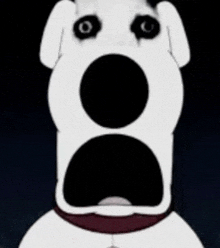 a white dog with black eyes and a red collar is making a funny face .